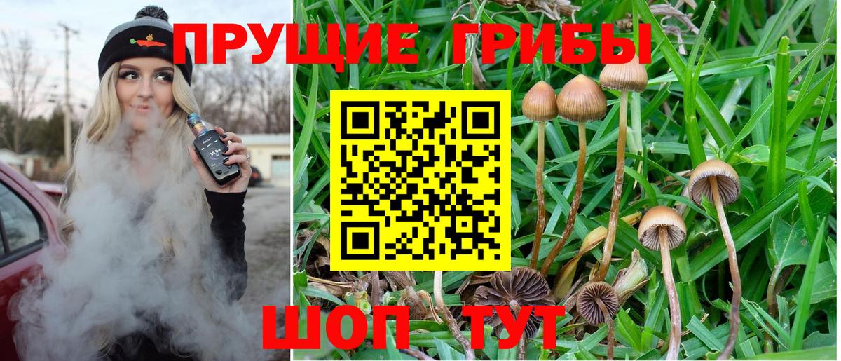 Галлюциногенные грибы ЛСД  где найти наркотики  Вход с VPN  Сланцы  Галлюциногенные грибы MAGIC MUSHROOMS 